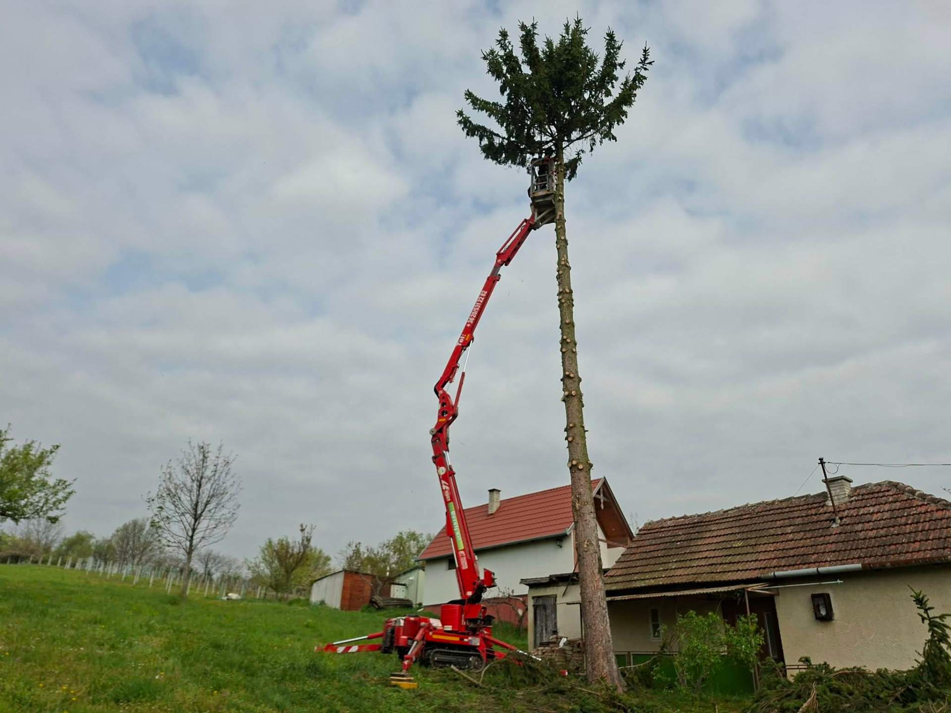 Veszélyes fakivágás kosaras emelővel